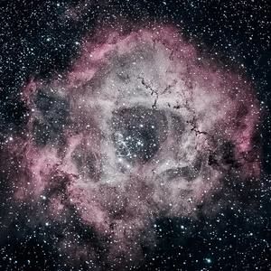 Meet your Posher, Bill